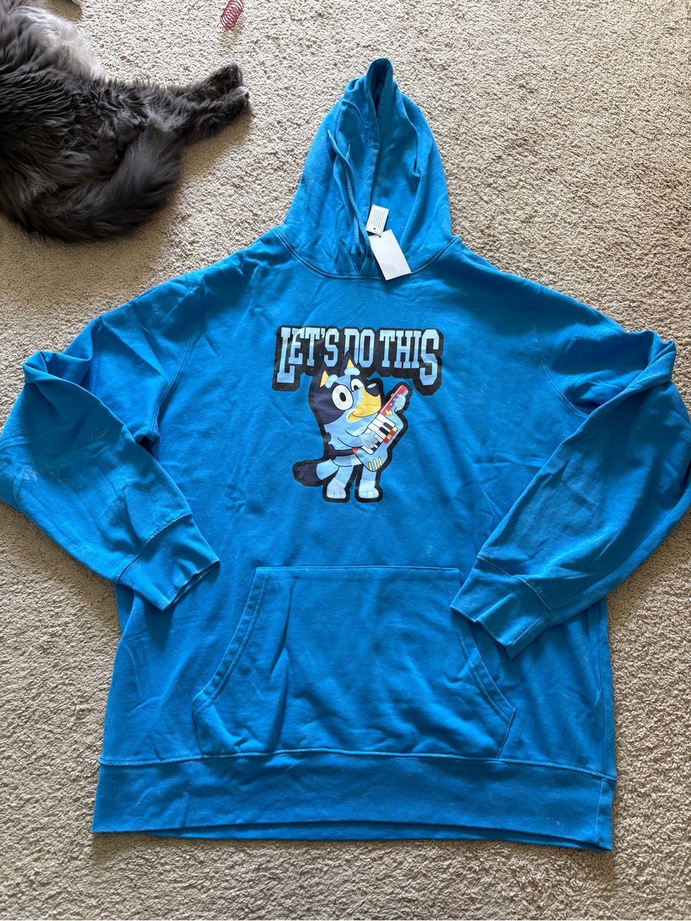 NEW- Men’s Bluey "Let's Do This" Graphic Hoodie Size XL